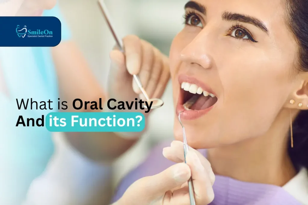 what is oral cavity